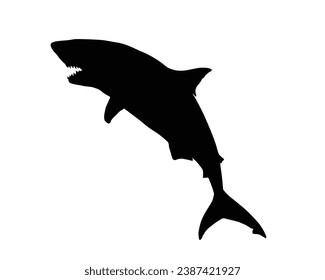 Shark Silhouette. Shark Vector illustration.