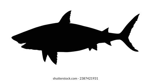 Shark Silhouette. Shark Vector illustration.
