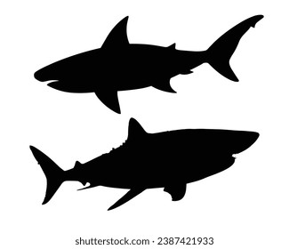Shark Silhouette. Shark Vector illustration.
