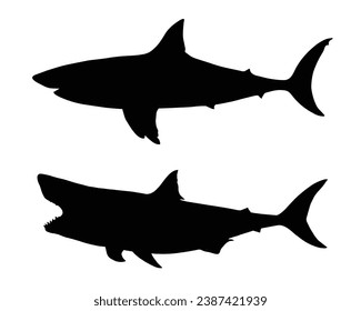 Shark Silhouette. Shark Vector illustration.