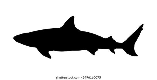 Shark silhouette - vector illustration