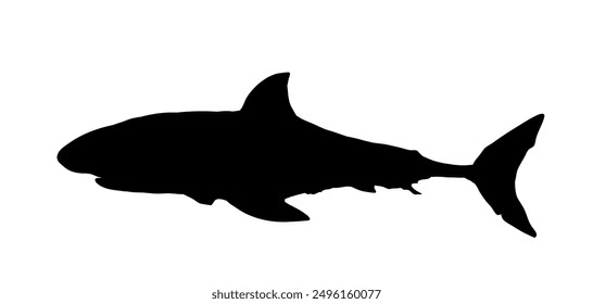 Shark silhouette - vector illustration