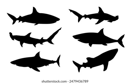 Shark silhouette vector illustration. Martil shark silhouette, whale shark symbol.