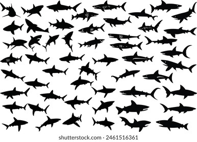 Ilustraciones vectoriales de silueta de tiburón. Tiburones Clipart Paquete
