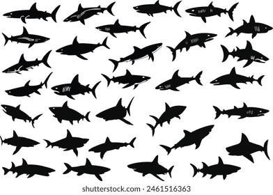 Shark silhouette vector illustrations. Sharks clipart bundle