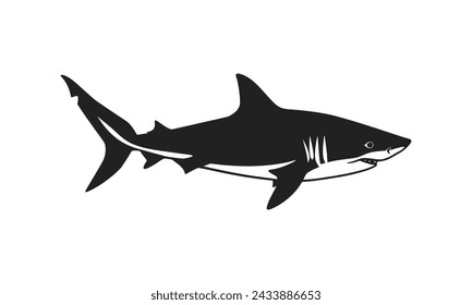 Shark silhouette vector white background