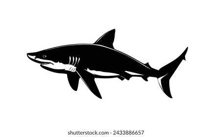 Shark silhouette vector white background