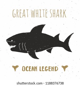 Shark silhouette vintage label, Hand drawn sketch, grunge textured retro badge, typography design t-shirt print, nautical vector illustration