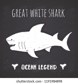 Shark silhouette vintage label, Hand drawn sketch, grunge textured retro badge, typography design t-shirt print, nautical vector illustration on chalkboard background.