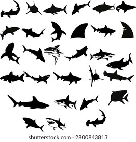 Shark Silhouettes Collection Great White Hammerhead and Marine Predator Shapes