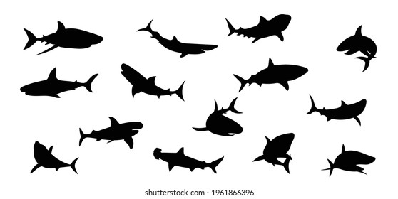  Shark silhouettes on a separate white background. Animal, fish.