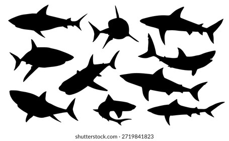 Siluetas de tiburón en el fondo blanco