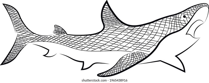 Shark, sketch, line art, vector isolated illustration on white background. Concept for logo, cards, print 