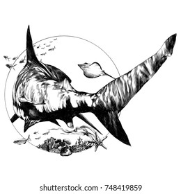 shark sketch for a t-shirt back vector graphics monochrome black-and-white drawing