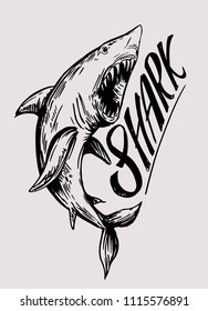 Shark sketch. Vector illustration