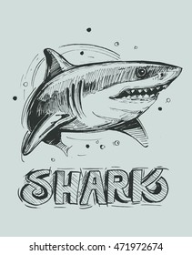 Shark sketch. Vector illustration