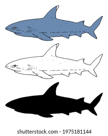 Shark Sketch Vector Set Isolated Elements Stock Vector (Royalty Free ...