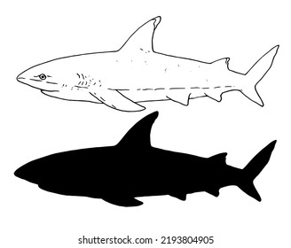 Shark Sketch Vector Set Isolated Elements Stock Vector (Royalty Free ...