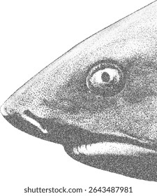 Shark snout in profile. Stippled effect. 