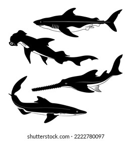 Shark species silhouettes. Spurdog, Hammerhead, Sawfish, Dogfish. Vector cliparts.