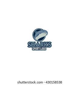 Shark sport logo template