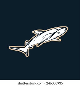 shark sport team mascot vector design template