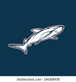 shark sport team mascot vector design template