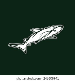 shark sport team mascot vector design template