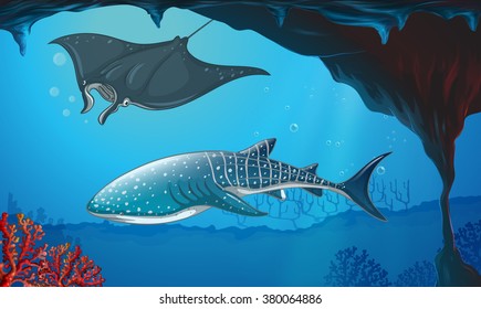 Shark and stingray swimming underwater illustration