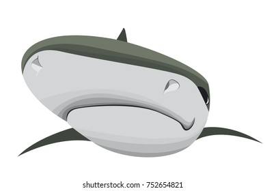 shark swimming face