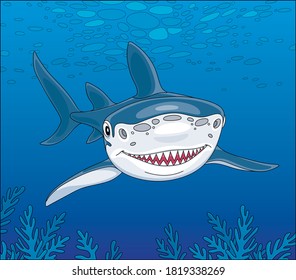 Shark swimming over a reef in blue water of a tropical sea, vector cartoon illustration