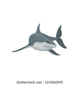 Shark swimming sea animal fish vector Illustration on a white background