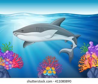 Shark swimming in the sea illustration