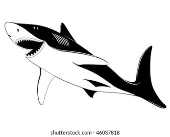 Shark, tattoo