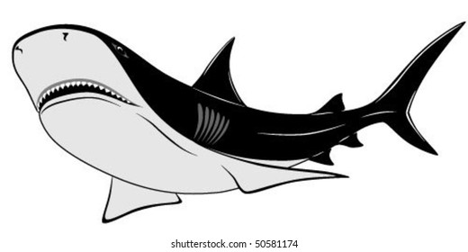 Shark, tattoo