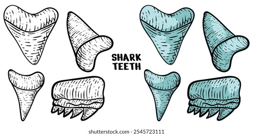 shark teeth set hand drawn engrave style vector art icon