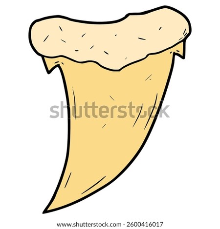 shark tooth illustration hand drawn isolated vector