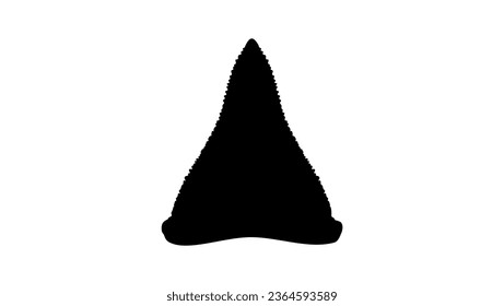 shark tooth silhouette, high detail black vector on transparent background