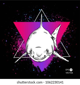 shark in a triangle. abstract drawing. vector illustration.