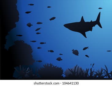 Shark underwater background