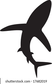 shark, vector