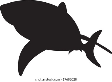 shark, vector