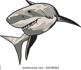 Shark vector