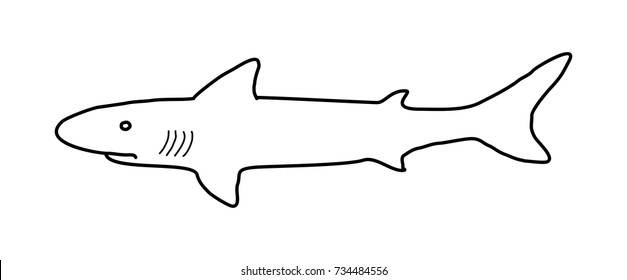 shark vector
