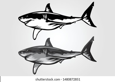 SHARK VECTOR ART HAND MADE DESIGN