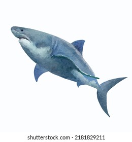 Shark vector art isolated on white background Marine fish hand drawn Ocean fauna Cartoon nautical illustration Watercolor style for greeting card logo or decoration