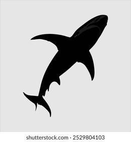 Shark vector art refers to digital illustrations of sharks created using vector graphics software. These designs are highly versatile and scalable  making them ideal for wide range of creative project