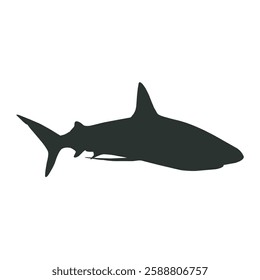 Shark vector art silhouette image template background picture photo icon logo stock