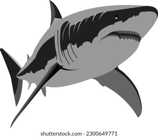 shark vector, can be for icon, emblem or logo material with shark character