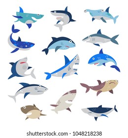 Shark vector cartoon seafish with sharp teeth in jaw illustration set of attacking fishery character in ocean isolated on white background